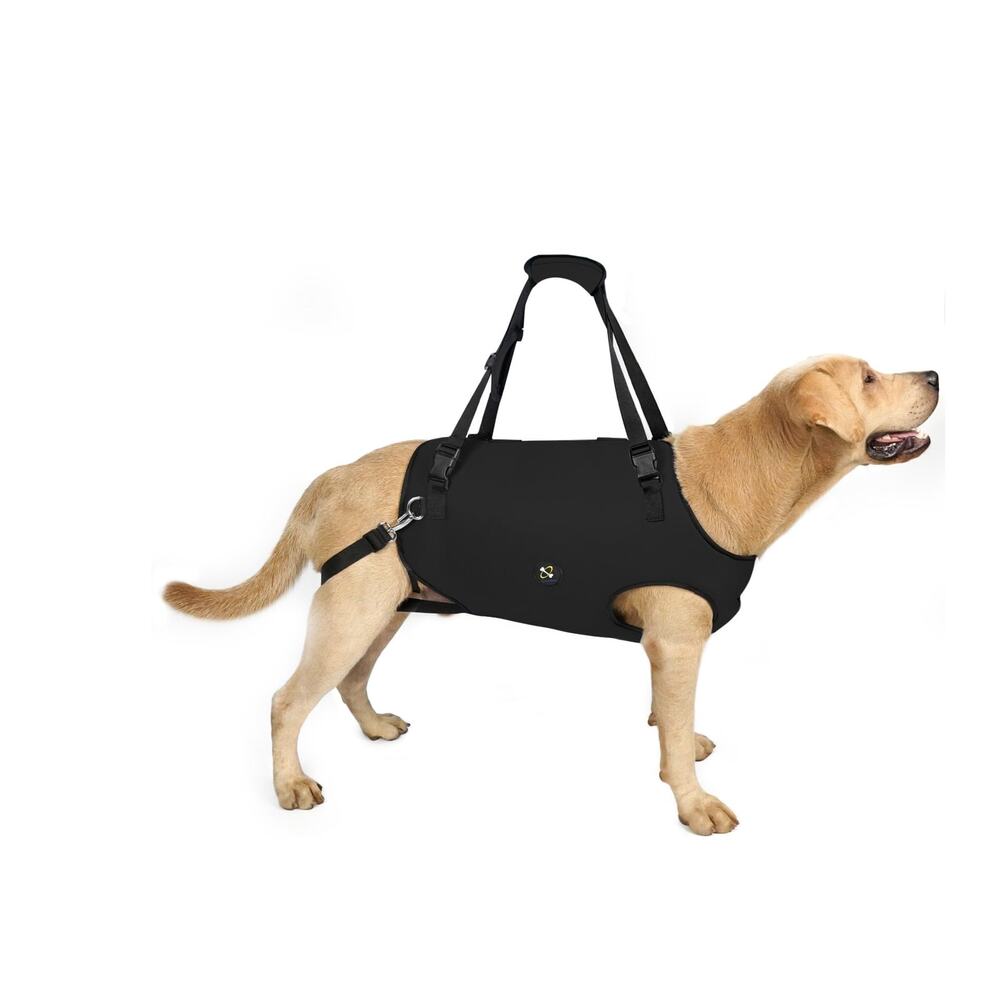 Coodeo Dog Lift Harness Black Size Medium 35-45 Lbs Pet Support & Rehabilitation